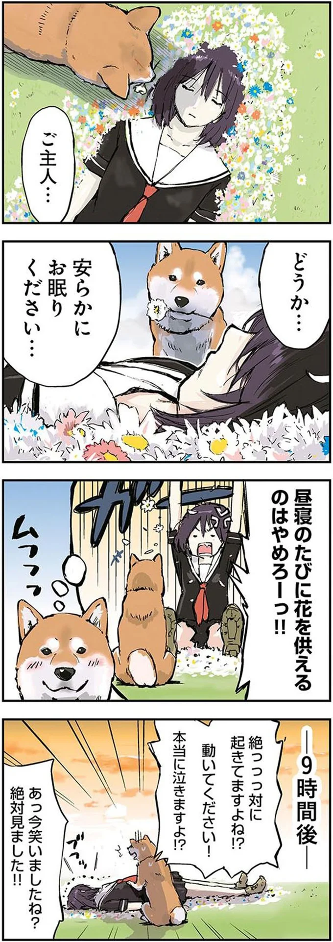 起きてますよね！？