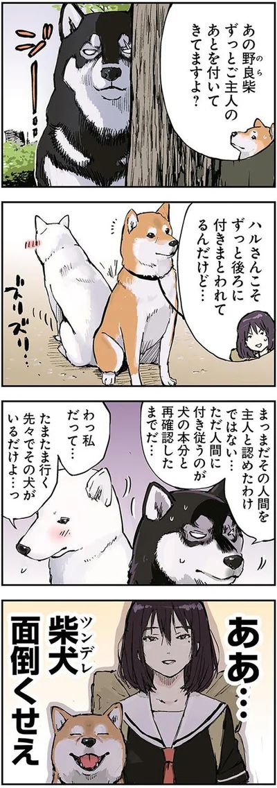 ずっとご主人のあとを付いてきてますよ？