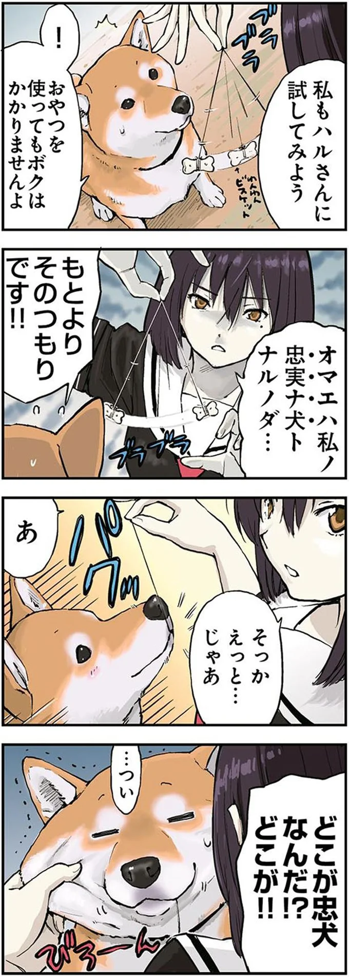 試してみよう
