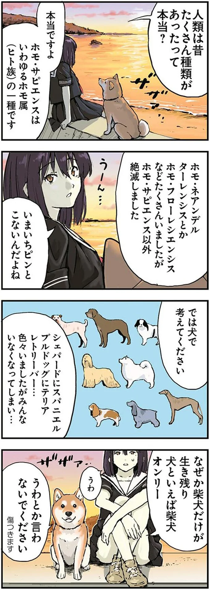 人類は昔たくさん種類があったって本当？