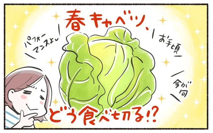 春キャベツどう食べる？