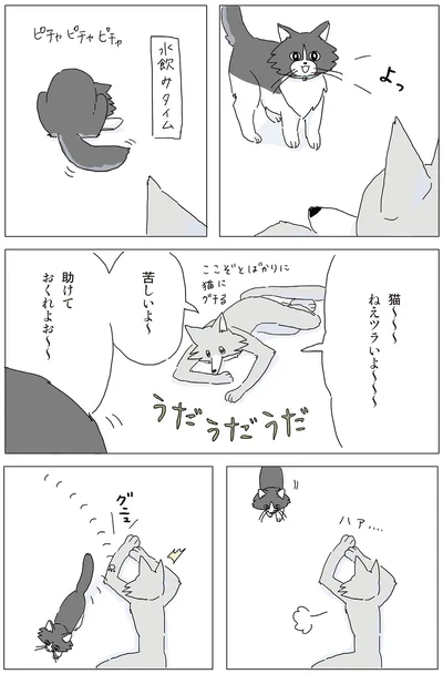 猫～～～　ねえツライよ～～～
