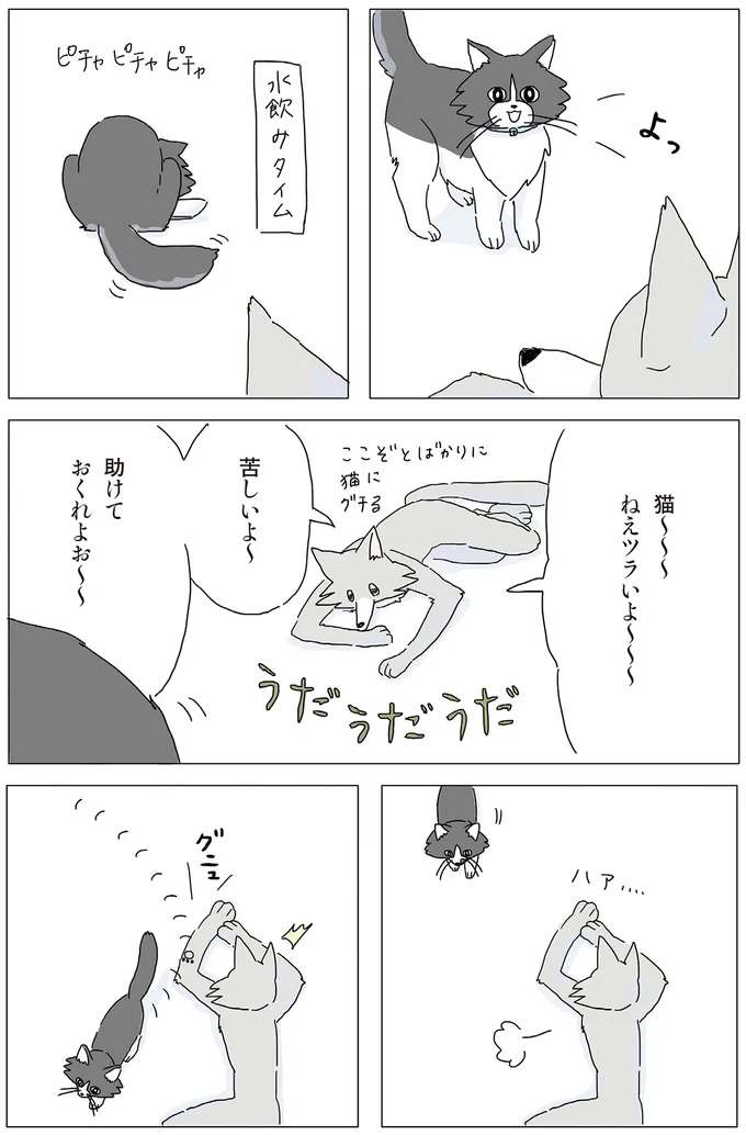 猫～～～　ねえツライよ～～～