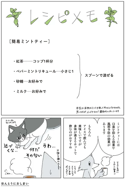 ミントティーには口臭を抑える効果や風邪予防の効果があります