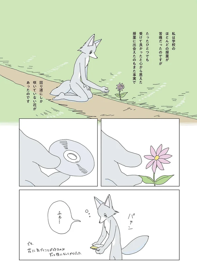回り道にしか咲いていない花があったのです