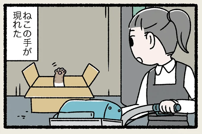 ねこの手が現れた