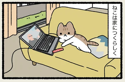 ねこは家につく