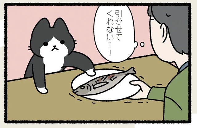 【ねこを追うより皿を引け】引かせてくれない!? ねこにお皿を追いかけられたら／ねことわざ（9）