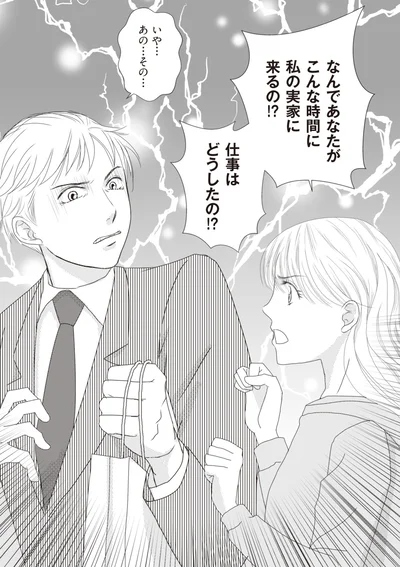 『43歳の母を妊娠させたのは私の夫でした』より