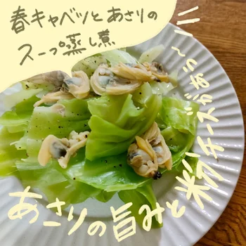 「春キャベツとあさりのスープ蒸し煮」