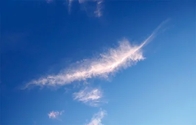 まるで鳥の羽根のような雲