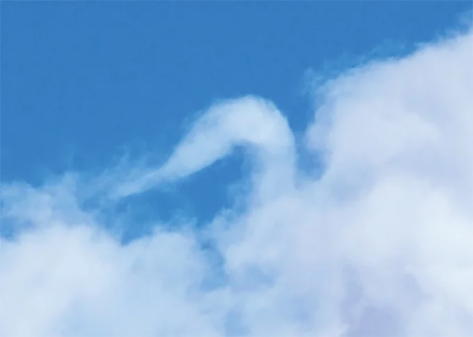 白鳥っぽく見えた雲
