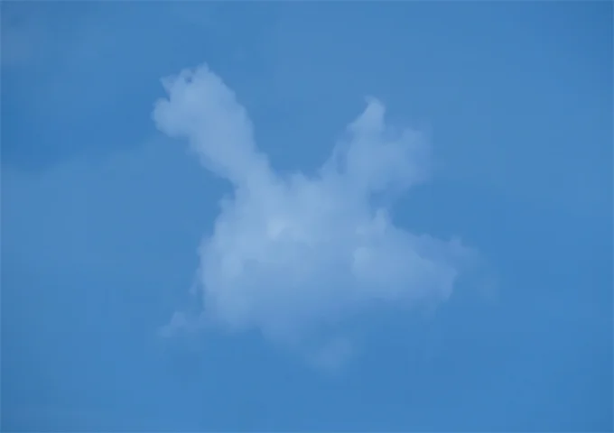 羽根の生えた亀の雲……？