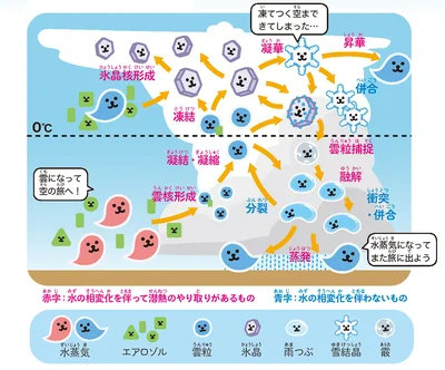 雲物理過程のイメージ