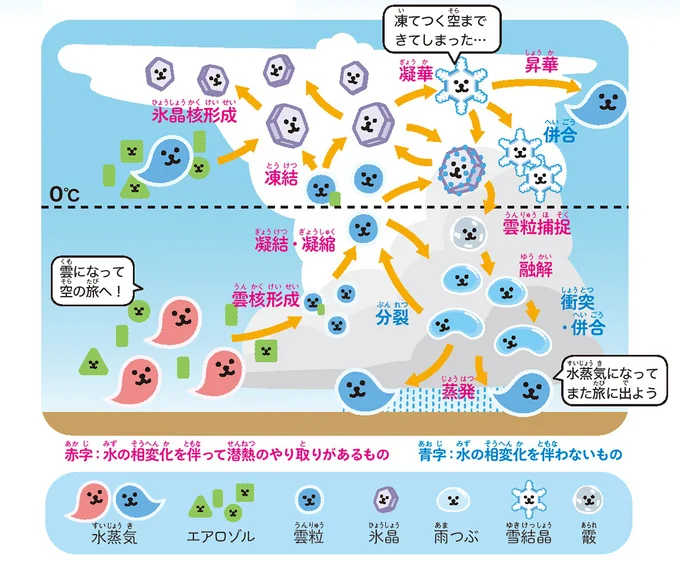 雲物理過程のイメージ