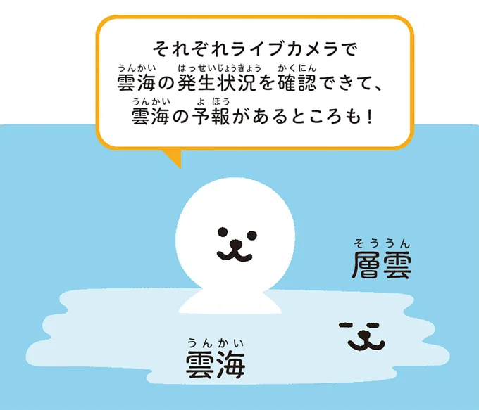 ライブカメラで雲海の発生状況を確認できる！