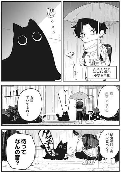猫…