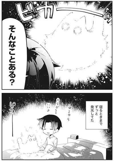 『猫のようなナニカ』より