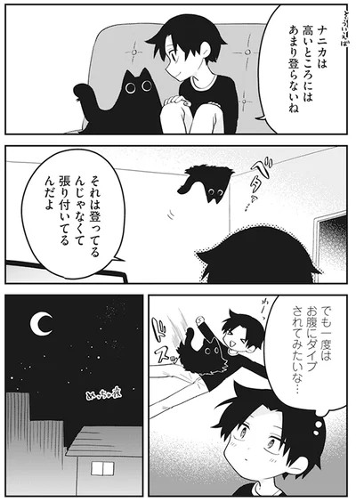 『猫のようなナニカ』より