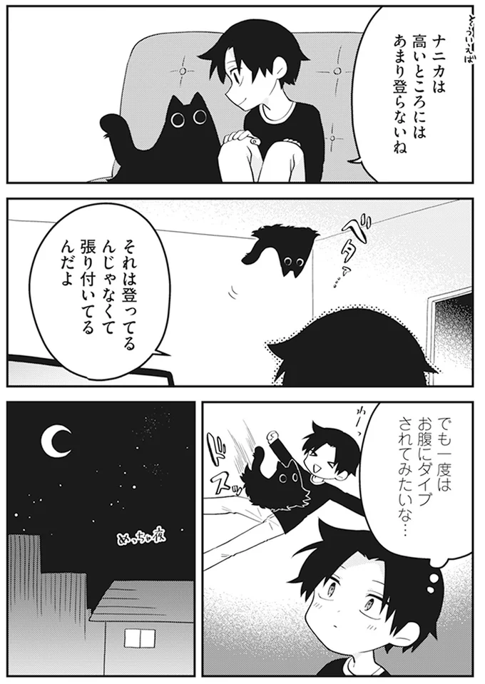 『猫のようなナニカ』より