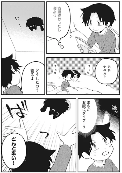 『猫のようなナニカ』より