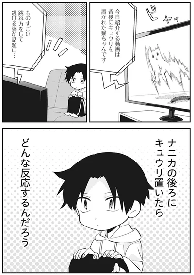 『猫のようなナニカ』より