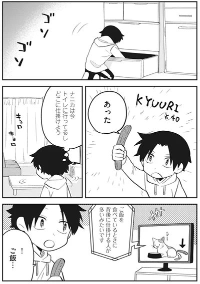 『猫のようなナニカ』より