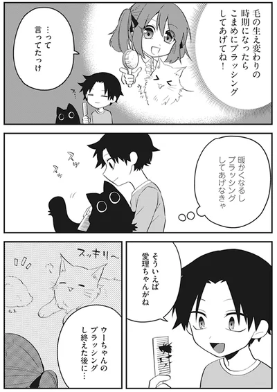 『猫のようなナニカ』より