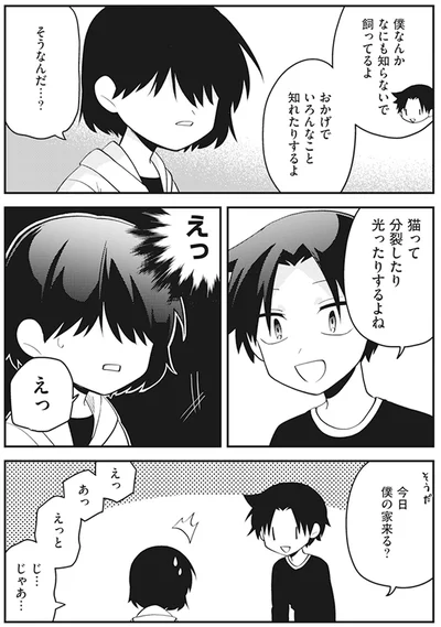 『猫のようなナニカ』より