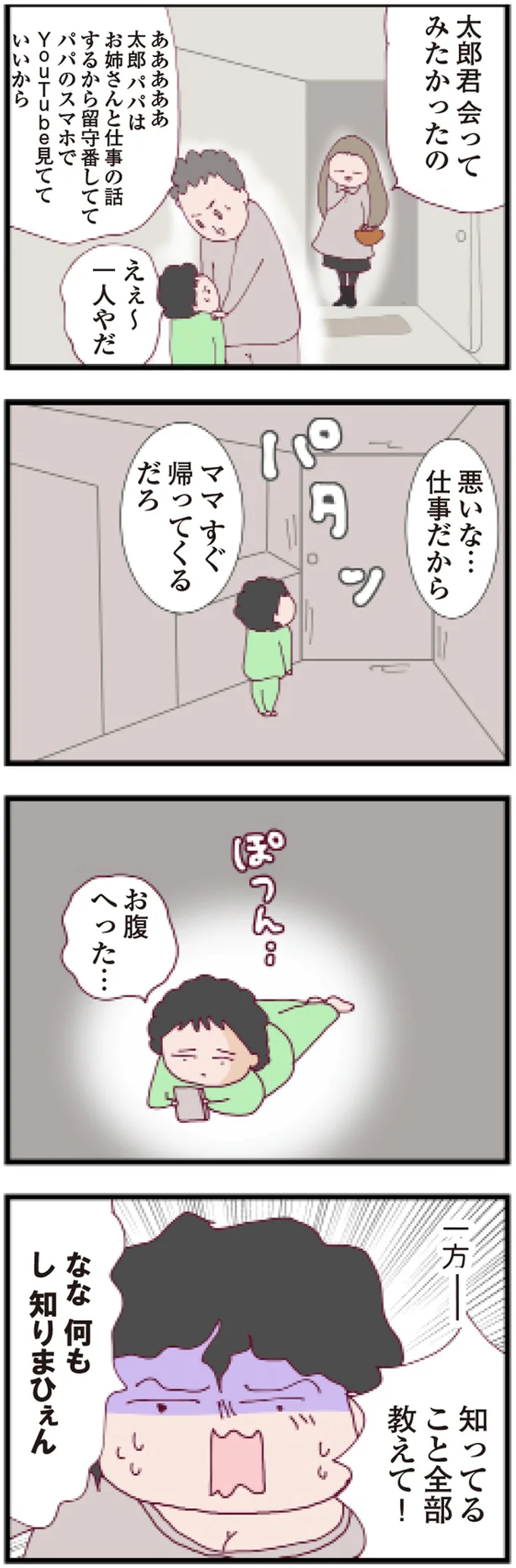 『整形主婦 サレ妻の逆襲』より