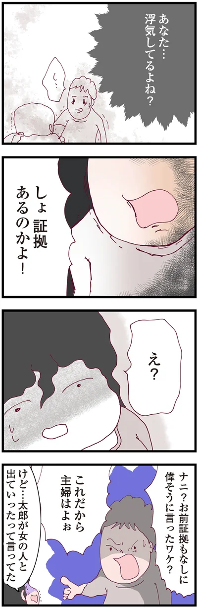 『整形主婦 サレ妻の逆襲』より