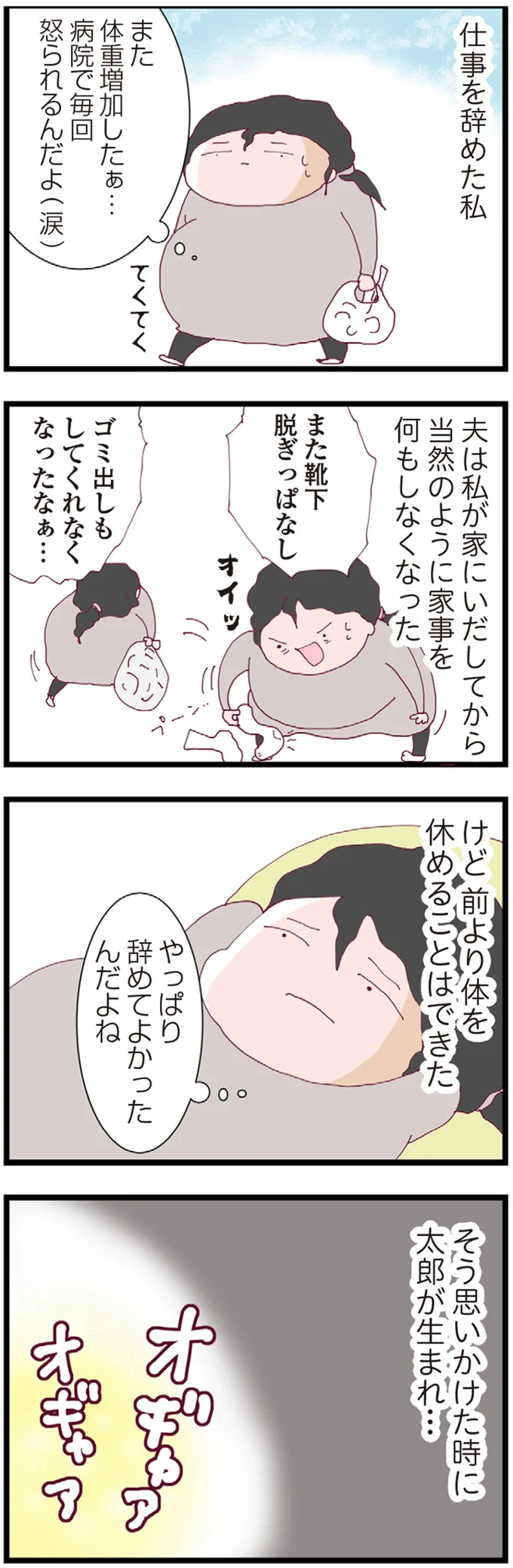 『整形主婦 サレ妻の逆襲』より