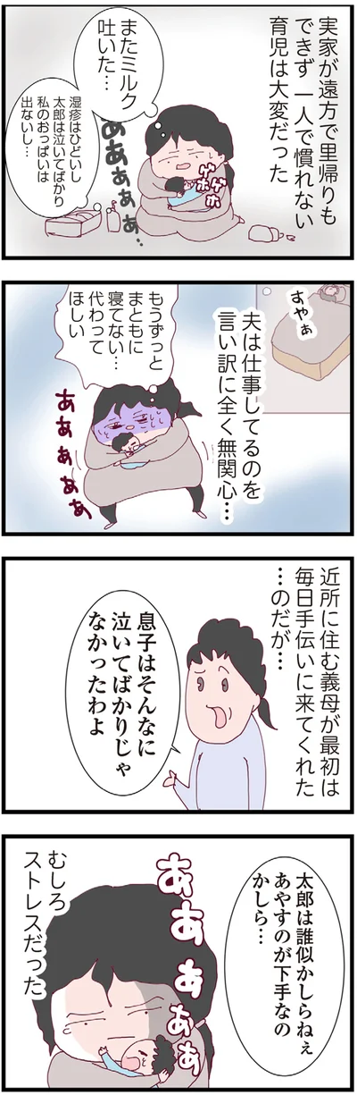 『整形主婦 サレ妻の逆襲』より