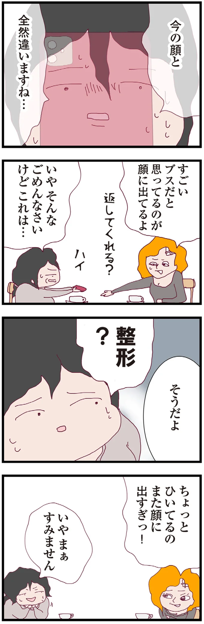 『整形主婦 サレ妻の逆襲』より