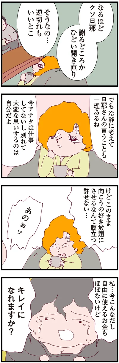 『整形主婦 サレ妻の逆襲』より