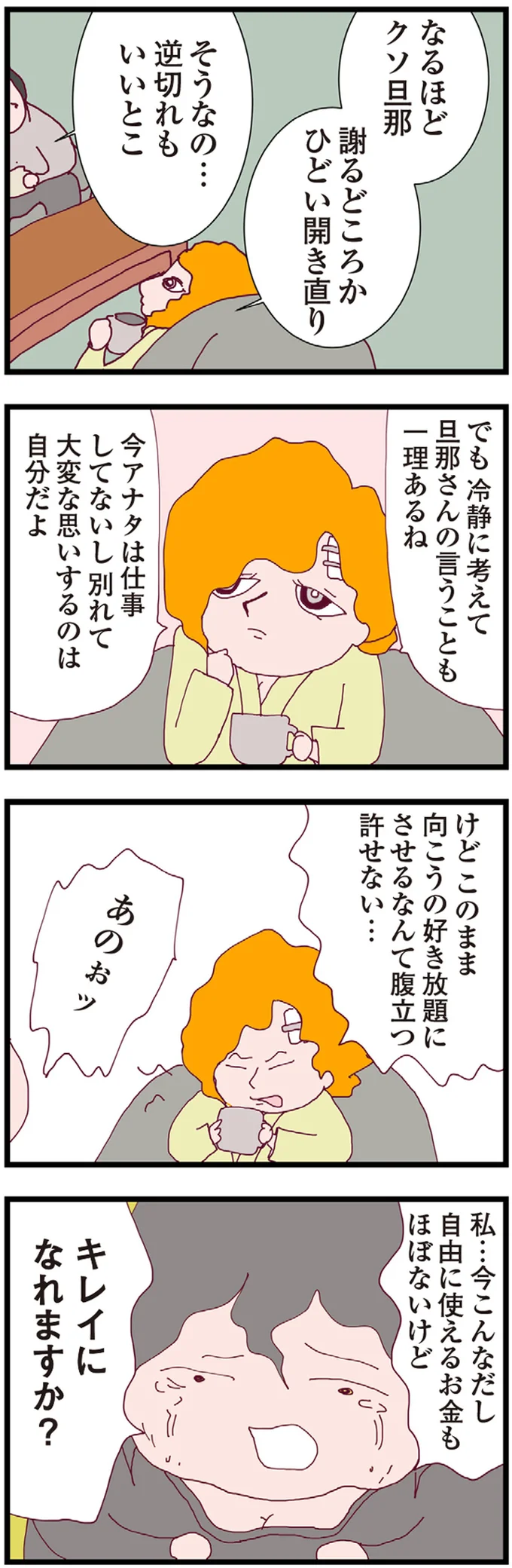 『整形主婦 サレ妻の逆襲』より