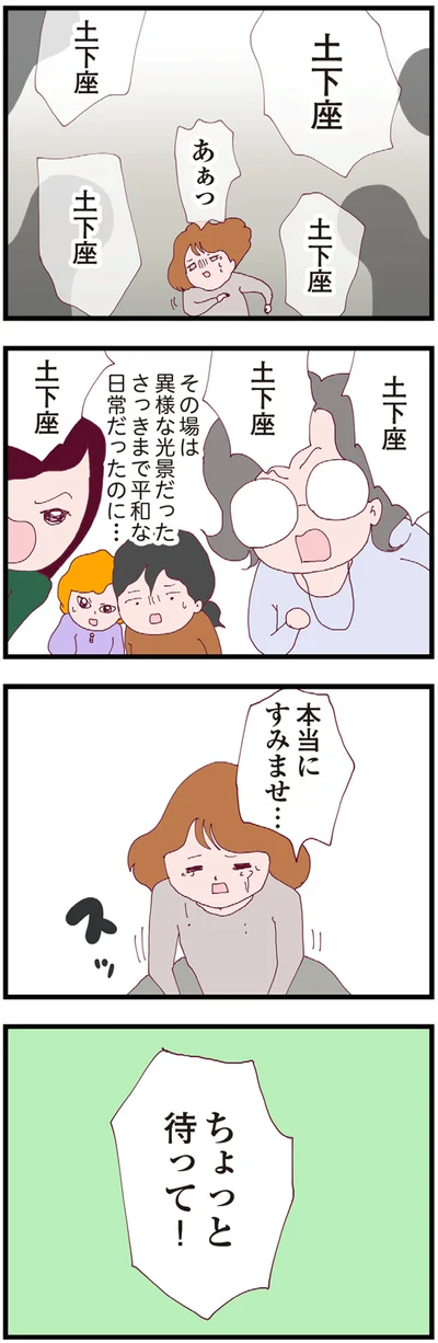 『整形主婦 サレ妻の逆襲』より