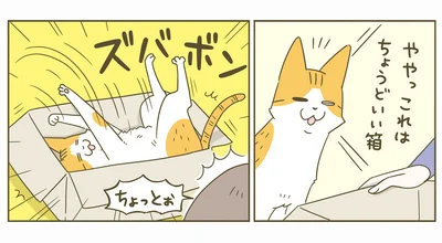 これはちょうどいい箱