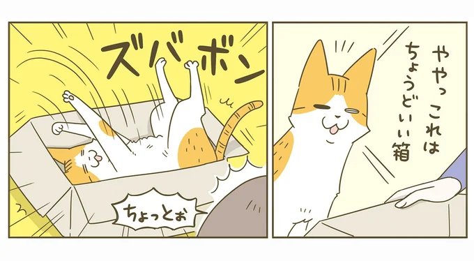 これはちょうどいい箱