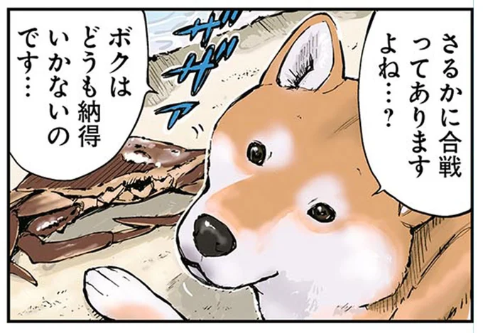 ボクはどうも納得いかないのです…