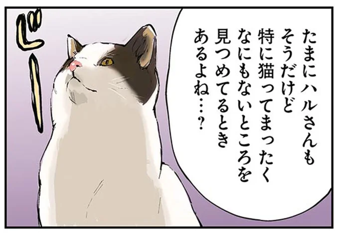 なにもないところを見つめてるときあるよね…?