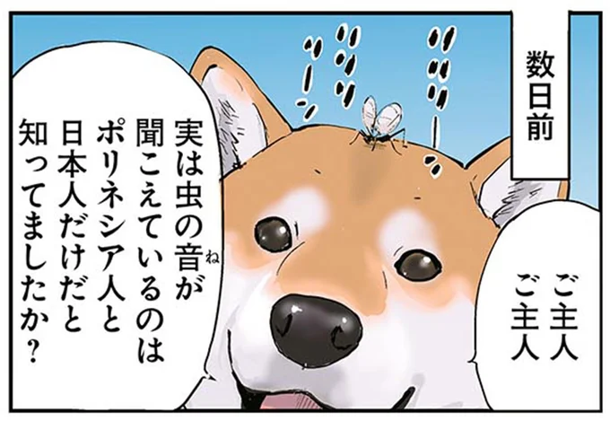 ご主人　ご主人