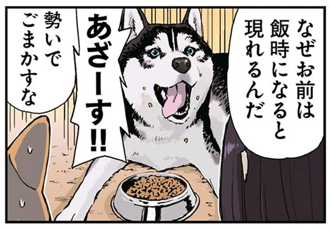 なぜお前は飯時になると現れるんだ