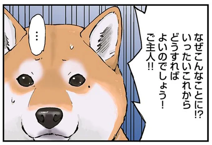 なぜこんなことに！？