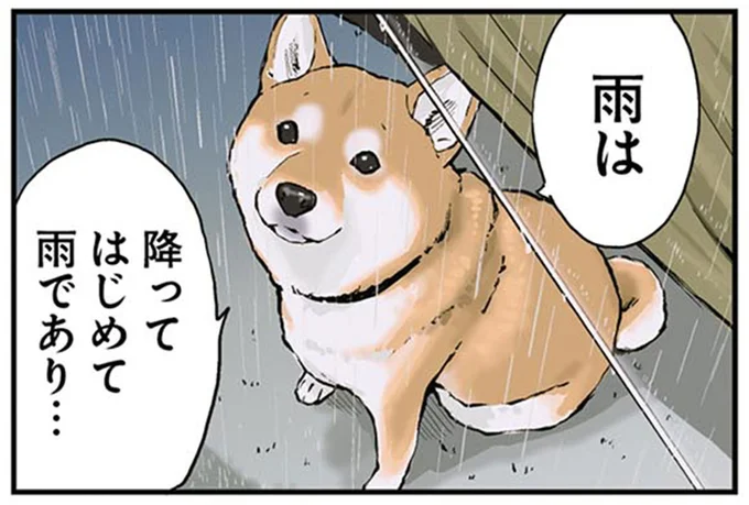 雨は降ってはじめて雨であり…
