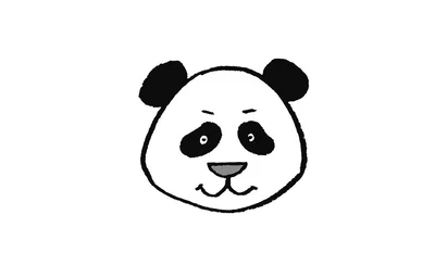 優柔不断を許せない白黒パンダタイプ