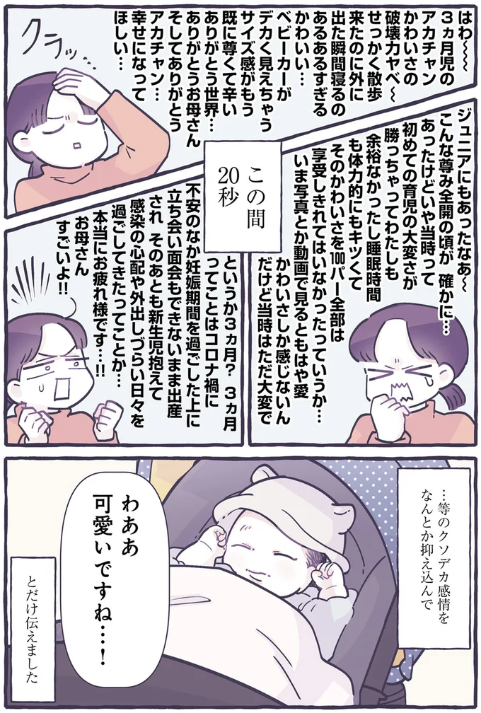 わああ　可愛いですね…！
