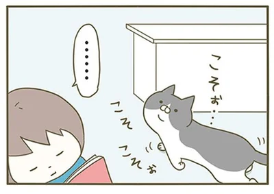 こそぉ…こそこそぉ…