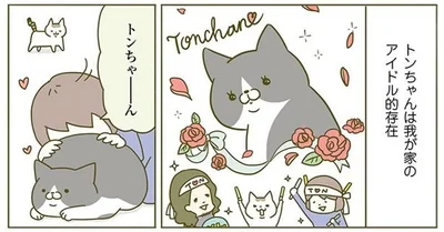 トンちゃんはアイドル的存在