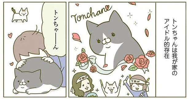 トンちゃんはアイドル的存在